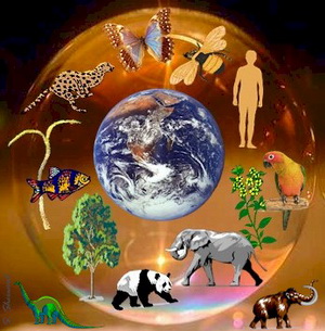 День экологической информации "Земля - наш общий дом"