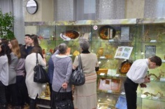 К Году экологии в России в библиотеке открылись выставки