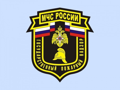День создания органов государственного пожарного надзора в России